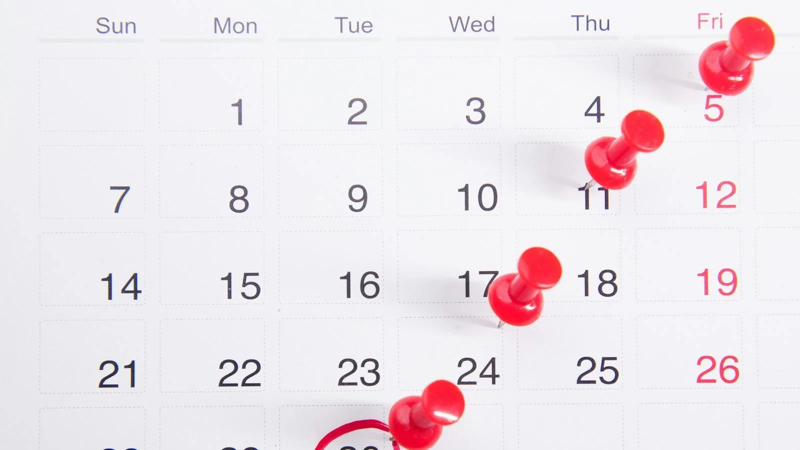 Fiestas y festivos en Valencia: Calendario completo para italianos